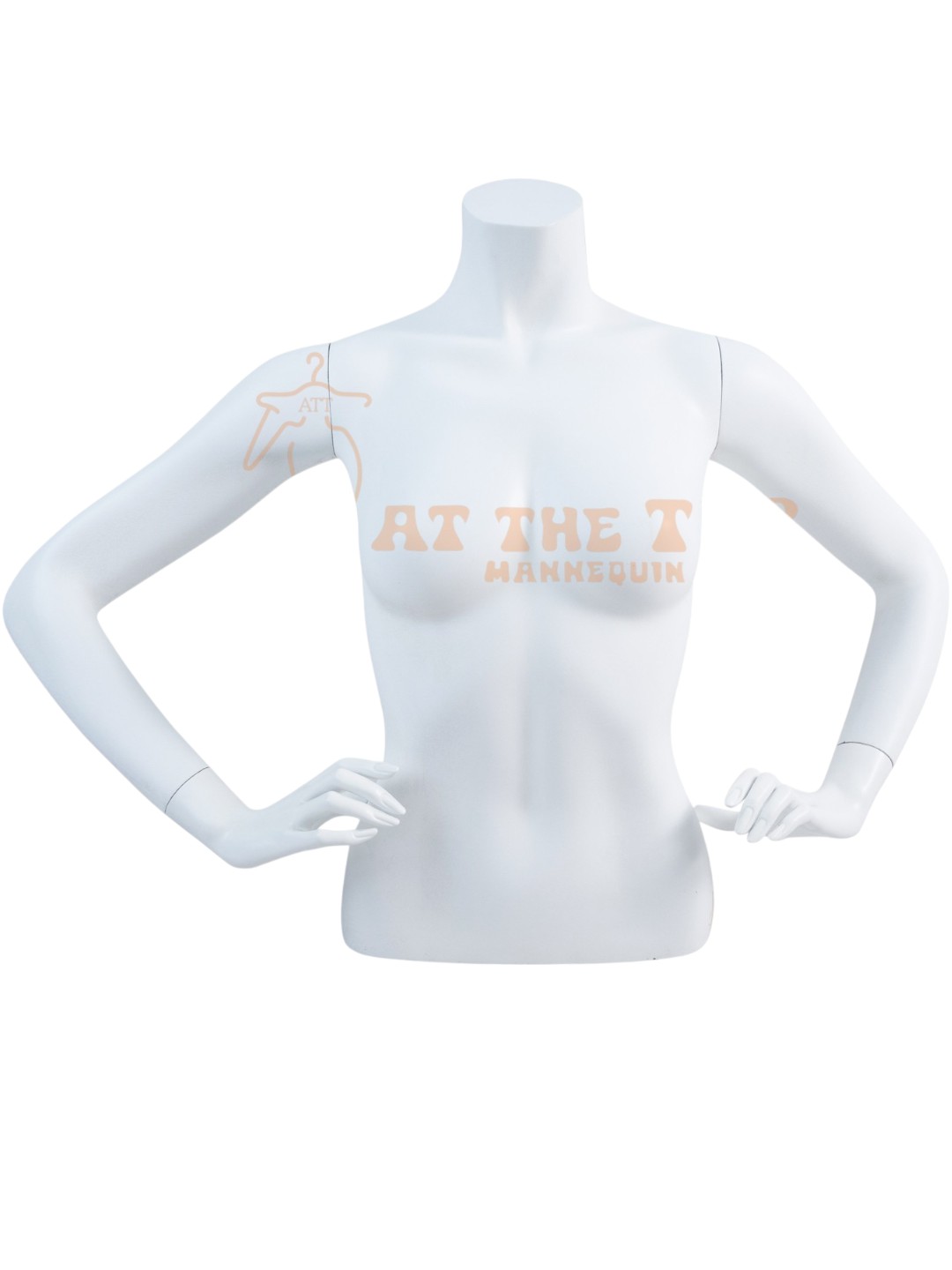Half Body Mannequin